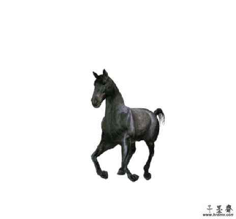 1只奔马.jpg