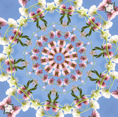 魔幻花团.jpg