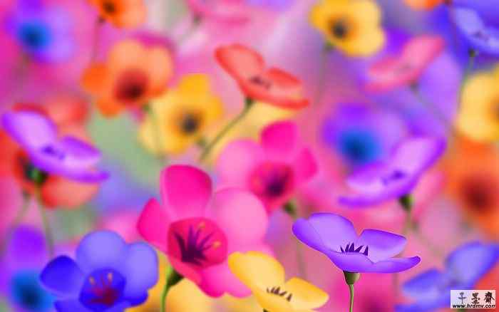 01_2950_Digital-illustration-flowers_wallcoo_com.jpg