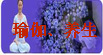 index_middle_jiaolian2.jpg