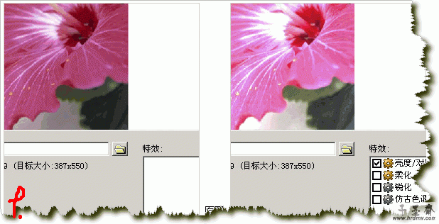 q9.gif