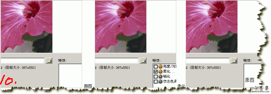 q10.gif