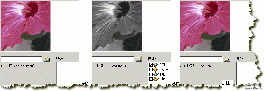q12.gif