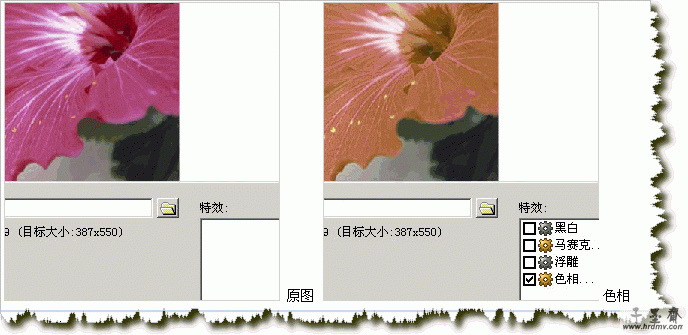q14.gif