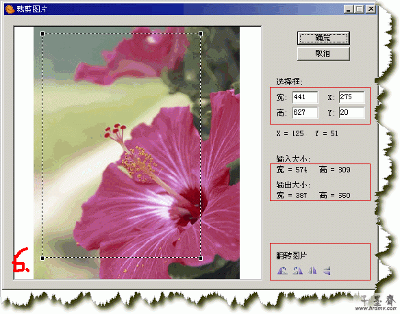 q6.gif
