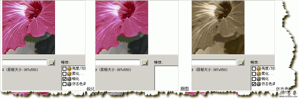 q11.gif