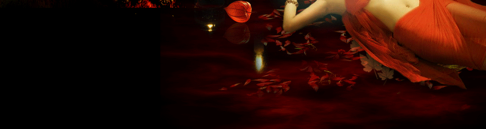 11.gif