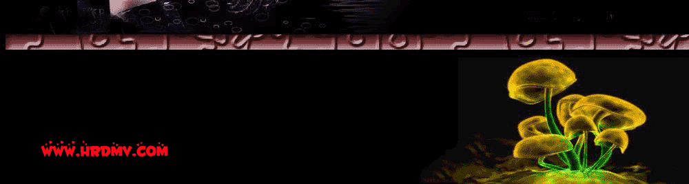 14.gif